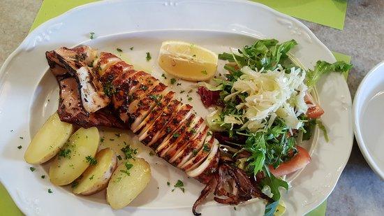 La Boussole Brassiere